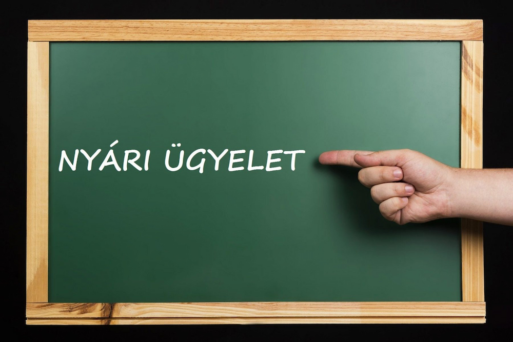 Nyári vezetői ügyeleti napok a Toldiban Nyári vezetői ügyeleti napok a Toldiban